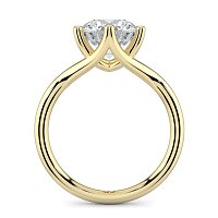 Willow Engagement Ring
