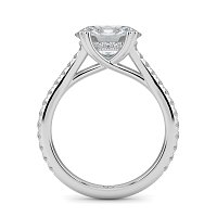 Dalia with Diamonds on Split Band