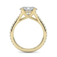 Dalia with Diamonds on Split Band