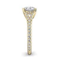 Dalia with Diamonds on Split Band