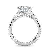 Dalia with Diamonds on Split Band