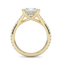Dalia with Diamonds on Split Band