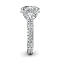 Dalia with Diamonds on Double Split Band