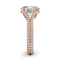 Dalia with Diamonds on Double Split Band