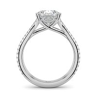 Dalia with Diamonds on Double Split Band