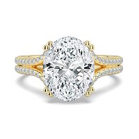 Dalia with Diamonds on Double Split Band