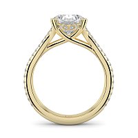 Dalia with Diamonds on Double Split Band