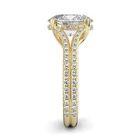 Dalia with Diamonds on Double Split Band