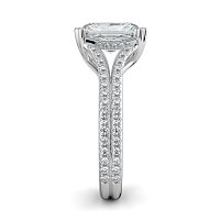 Dalia with Diamonds on Double Split Band