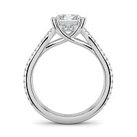 Dalia with Diamonds on Double Split Band