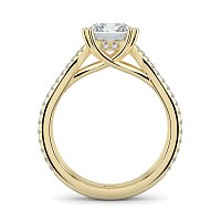 Dalia with Diamonds on Double Split Band
