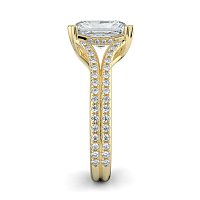 Dalia with Diamonds on Double Split Band