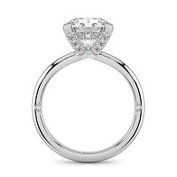 Ariel 4 Claws with Diamonds on prongs