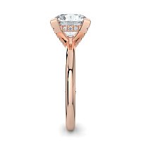 Ariel 4 Claws with Diamonds on prongs