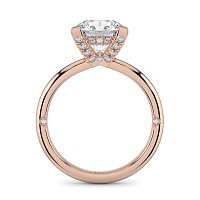 Ariel 4 Claws with Diamonds on prongs
