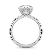 Ariel 4 Claws with Diamonds on prongs