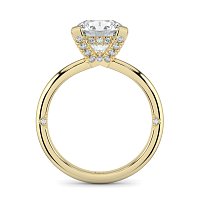 Ariel 4 Claws with Diamonds on prongs