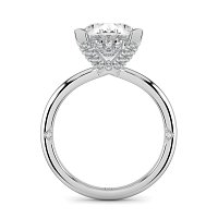 Ariel 4 Claws with Diamonds on prongs