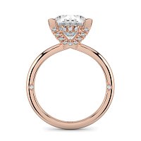 Ariel 4 Claws with Diamonds on prongs