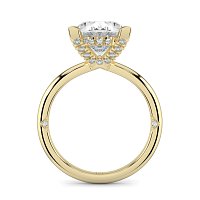 Ariel 4 Claws with Diamonds on prongs