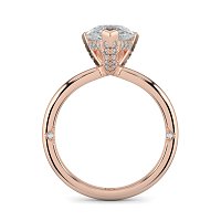 Ariel 4 Claws with Diamonds on prongs