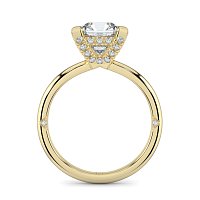 Ariel 4 Claws with Diamonds on prongs
