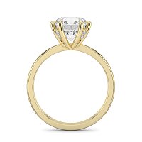 Ariel with Diamonds on Prongs