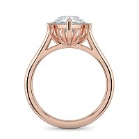 Cathedral 3 Claws with Half Halo of Round and Pear Diamonds