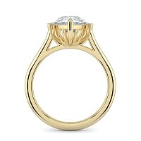 Cathedral 3 Claws with Half Halo of Round and Pear Diamonds