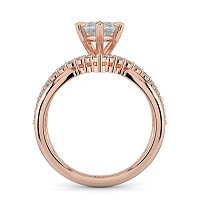 Jana 6 Claws and Double Band with Diamonds