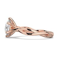 Jana 6 Claws