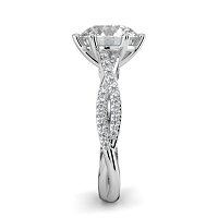 Jana 6 Claws with Diamonds on Band