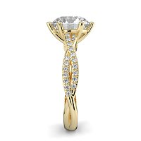 Jana 6 Claws with Diamonds on Band
