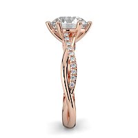 Jana 6 Claws with Diamonds on Half Band