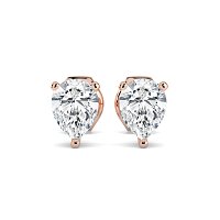 Claw Set Earrings