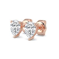 Claw Set Earrings