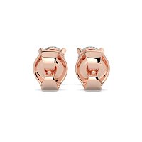 Claw Set Earrings