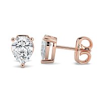 Claw Set Earrings