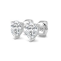 Claw Set Earrings