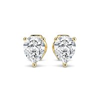 Claw Set Earrings