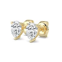 Claw Set Earrings