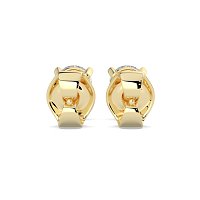 Claw Set Earrings