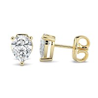 Claw Set Earrings