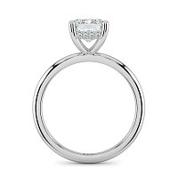 Ariel 4 Claw