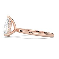 Ariel Claw Set