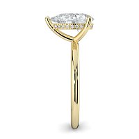 Ariel Claw Set