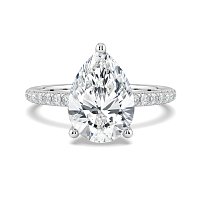 Ariel Claw Set