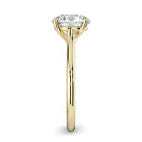 Dalia