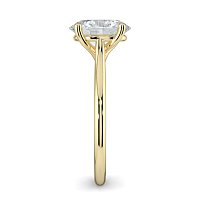 Dalia