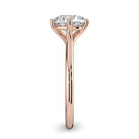 Dalia